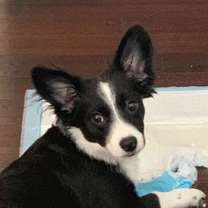 Meet your Posher, Jackie